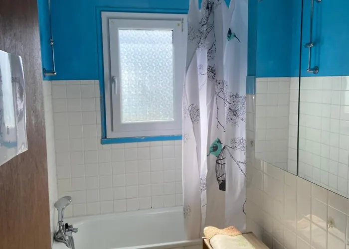 4 Personnes - Idealement Situe Au Mont-dore - Planet 4 Appartement